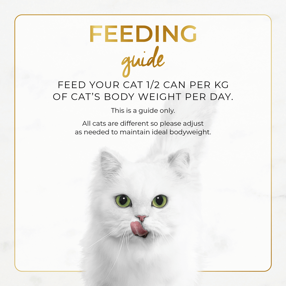 Adult Classic Pate Chicken Feast Gourmet Wet Cat Food