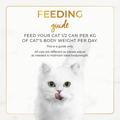 Adult Classic Pate Chicken Feast Gourmet Wet Cat Food