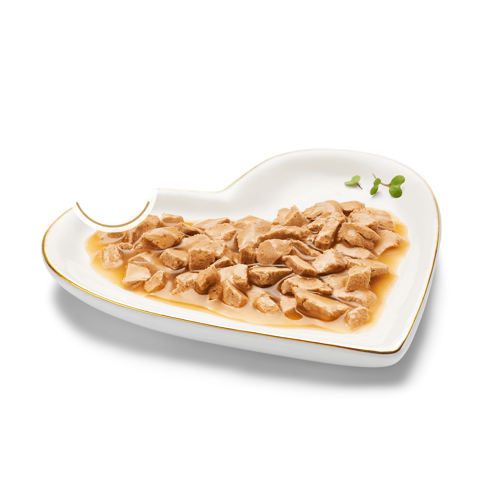 Adult Gravy Lovers Salmon Feast In Seared Salmon Flavour Gravy Wet Cat Food