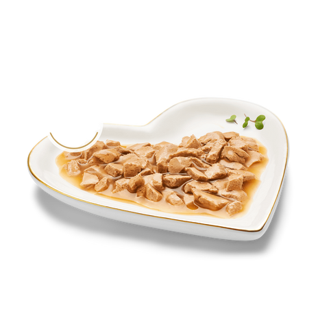 Adult Gravy Lovers Salmon Feast In Seared Salmon Flavour Gravy Wet Cat Food