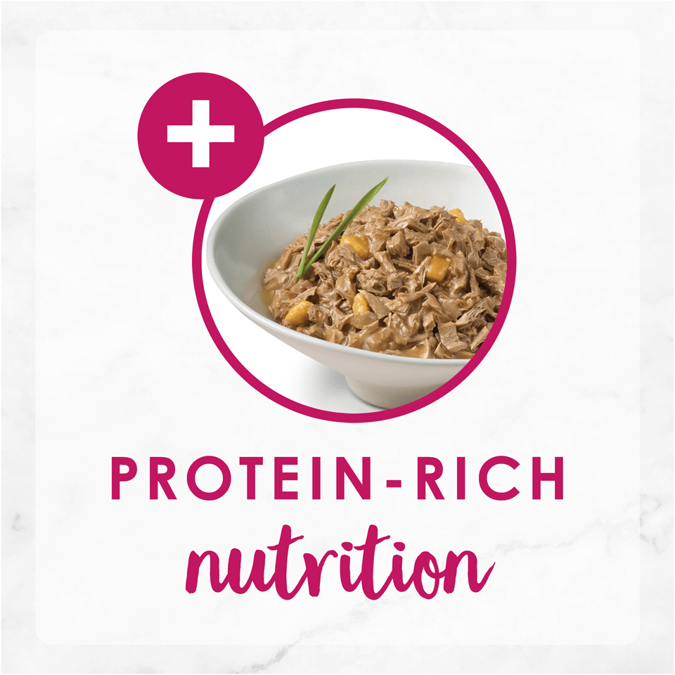 Delights With Cheddar Chicken Wet Cat Food