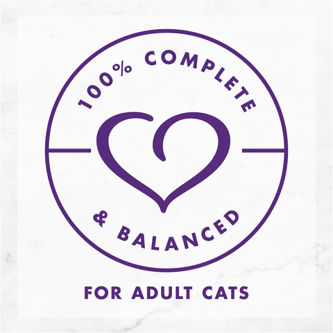 Delights With Cheddar Turkey Wet Cat Food