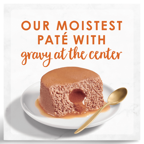 Savoury Centers Pate Chicken Gourmet Gravy Wet Cat Food