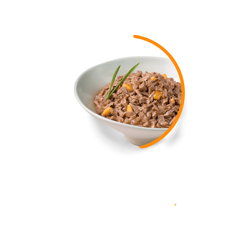 Variety Pack Cheddar Delights Grilled Wet Cat Food