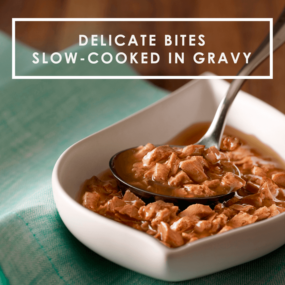 Variety Pack Gravy Lovers Poultry Beef Wet Cat Food