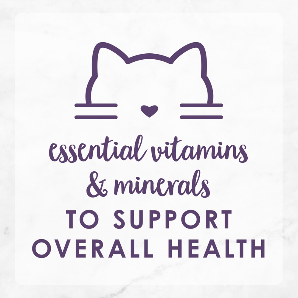 Variety Pack Gravy Lovers Poultry Beef Wet Cat Food