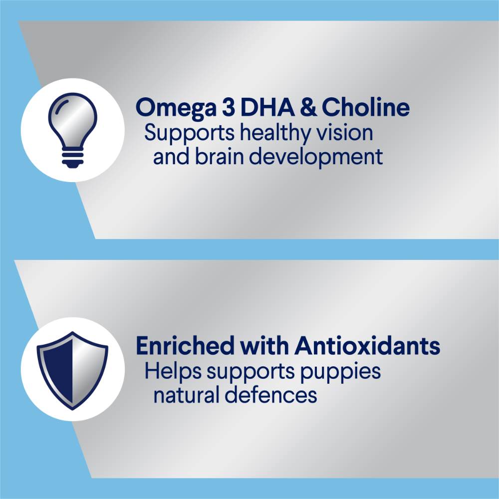 Puppy Single Serve Wet Dog Food Chicken With Rice