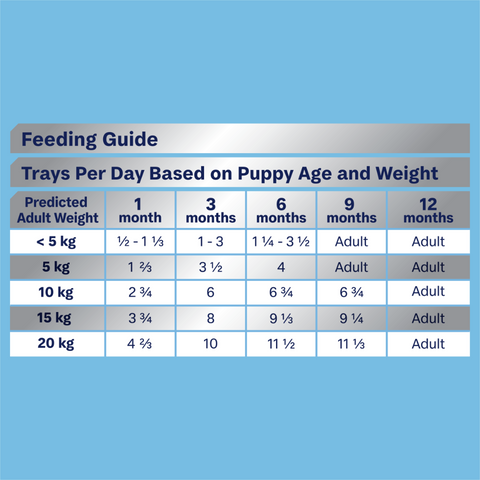 Puppy Single Serve Wet Dog Food Chicken With Rice