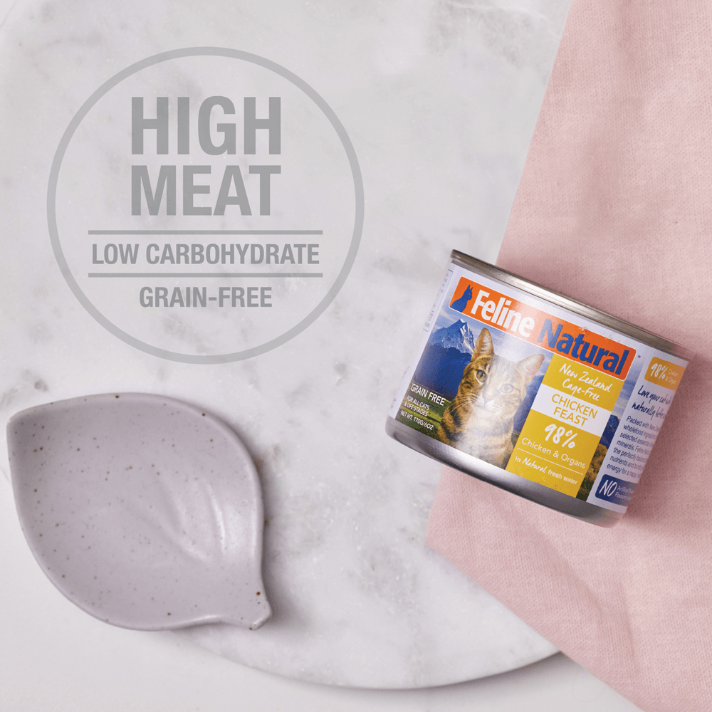 Cat Lamb And Salmon Can