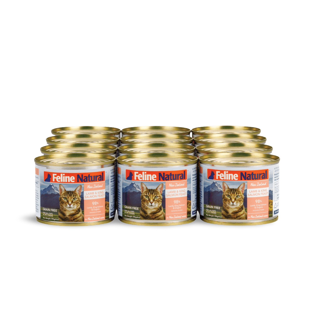 Cat Lamb And Salmon Can