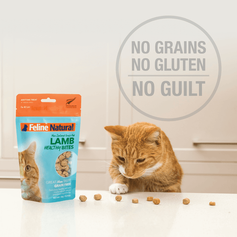 Cat Treats Grain Free Healthy Lamb