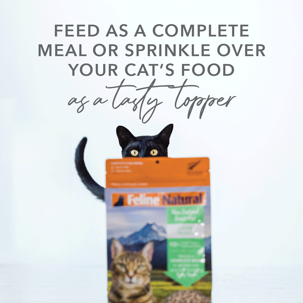 Grain Free Lamb Flavour Freeze Dried Cat Food