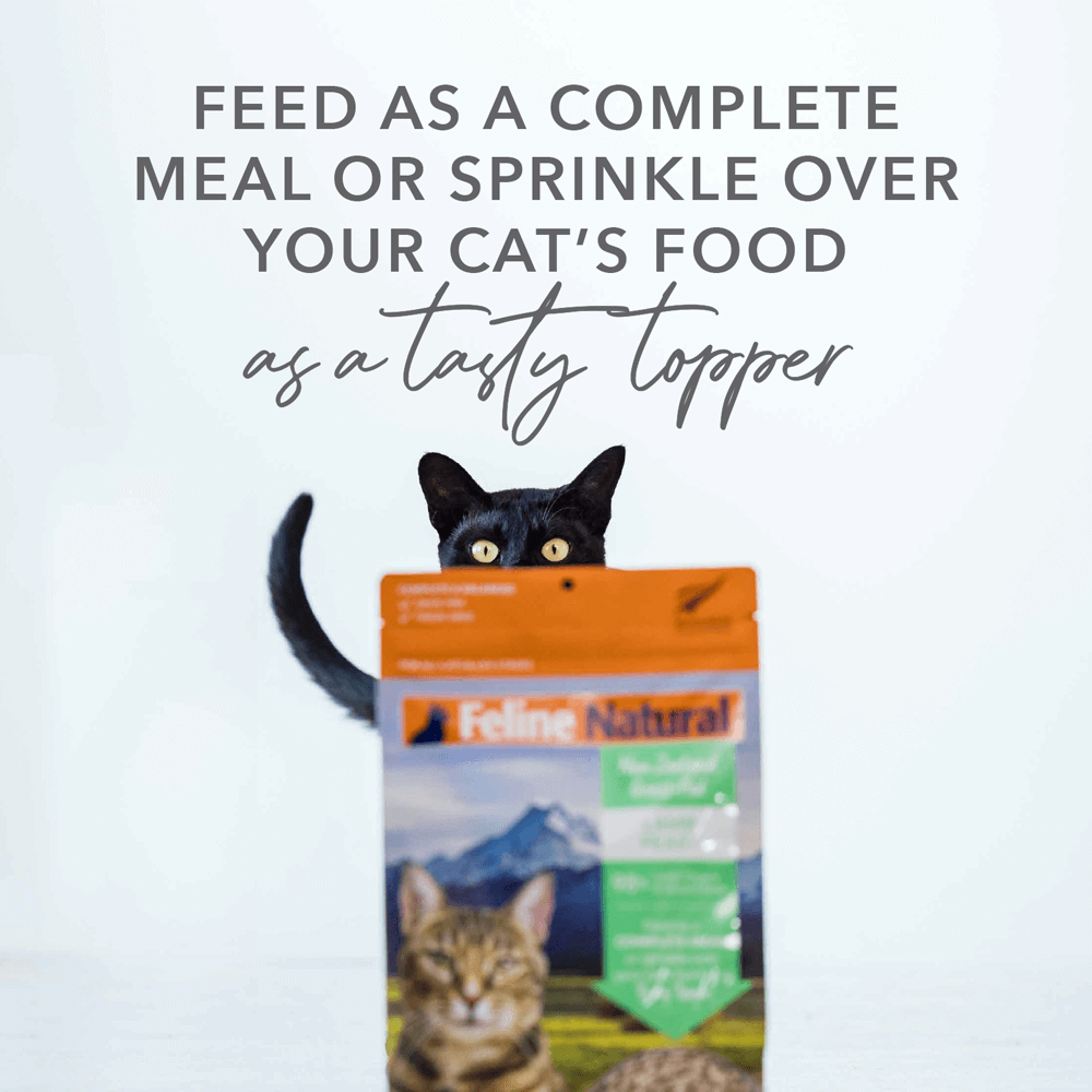 Lamb And Salmon Freeze Dried Cat Food