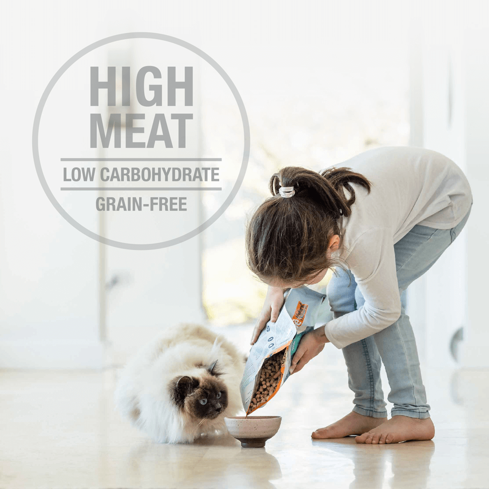 Lamb And Salmon Freeze Dried Cat Food