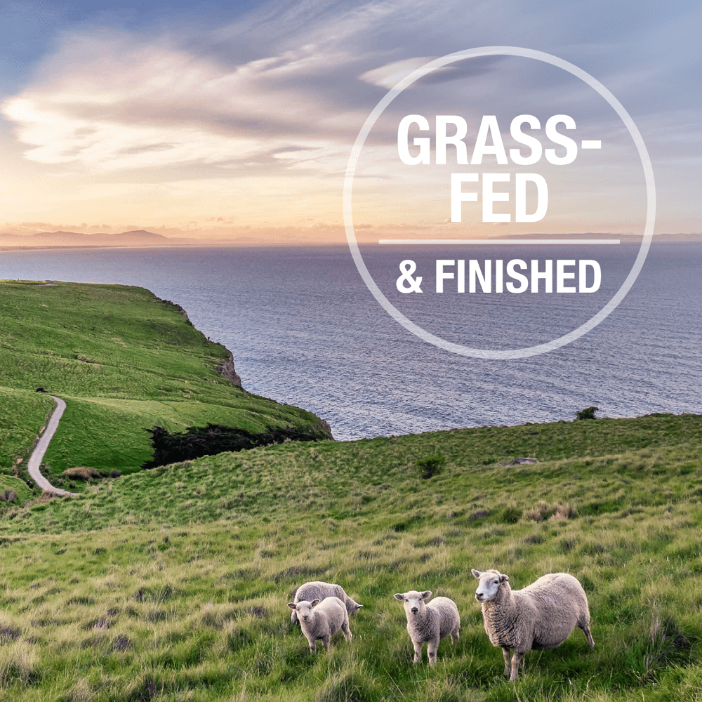 Lamb And Salmon Freeze Dried Cat Food