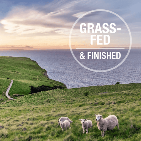 Lamb And Salmon Freeze Dried Cat Food