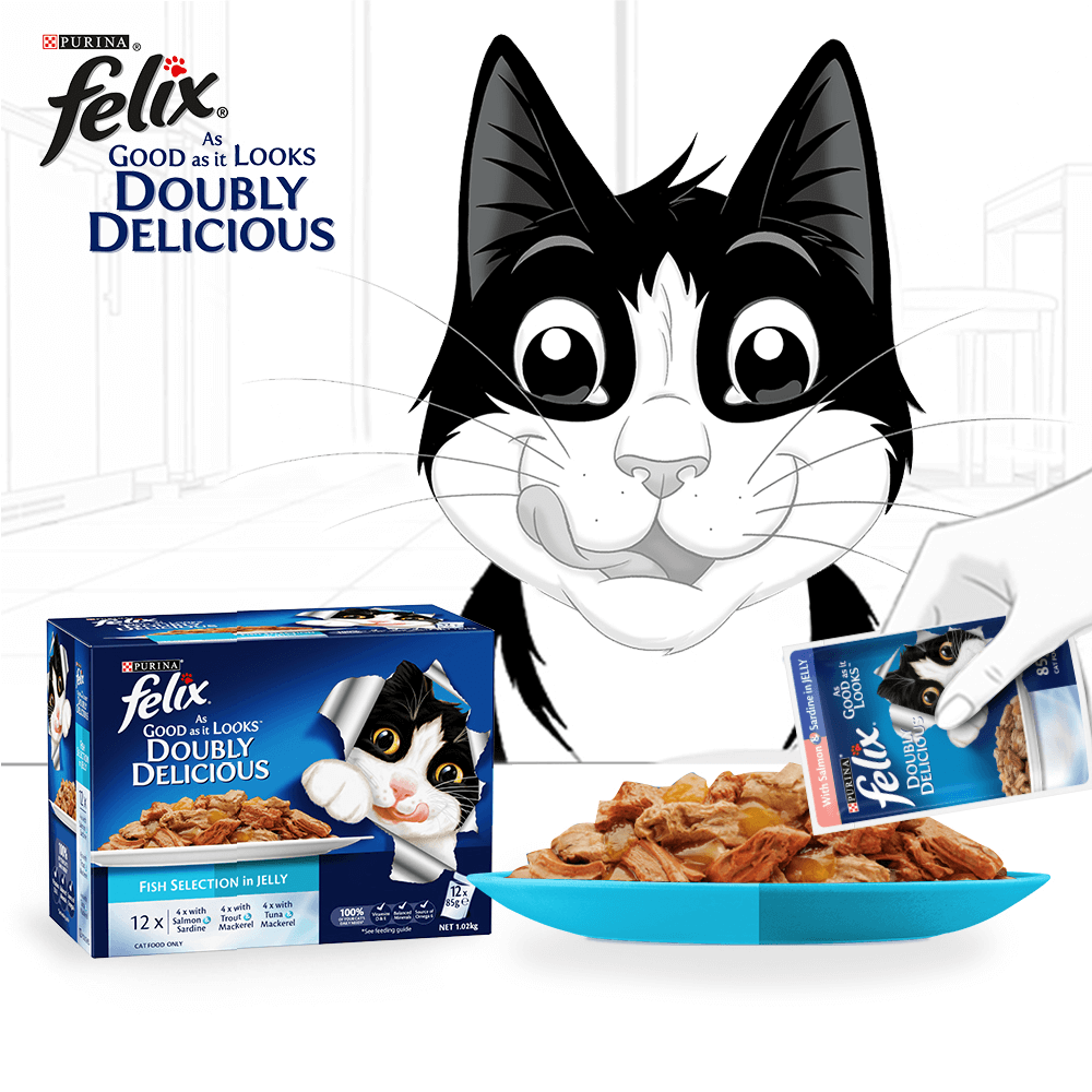 As Good As It Looks Doubly Delicious Fish Selection In Jelly Wet Cat Food Pouches
