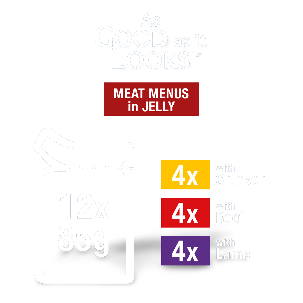 Wet Cat Food Adult Meat Menus Pouches