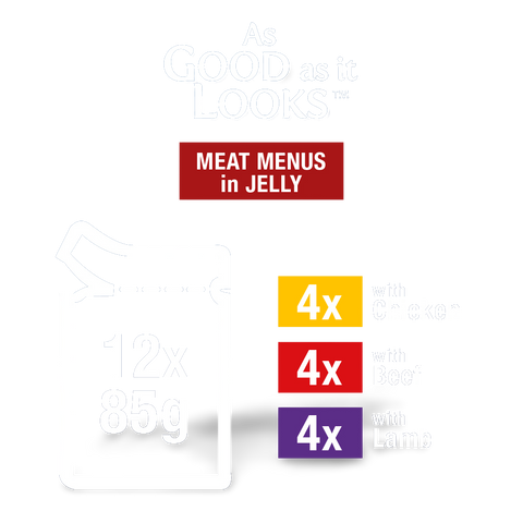 Wet Cat Food Adult Meat Menus Pouches