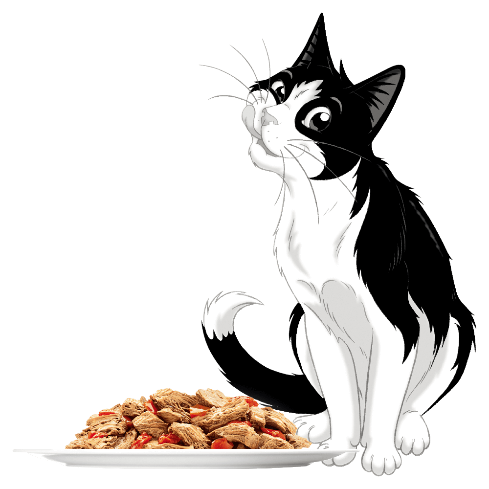 Wet Cat Food Adult Sensations Jellies Favourites Menu Pouches