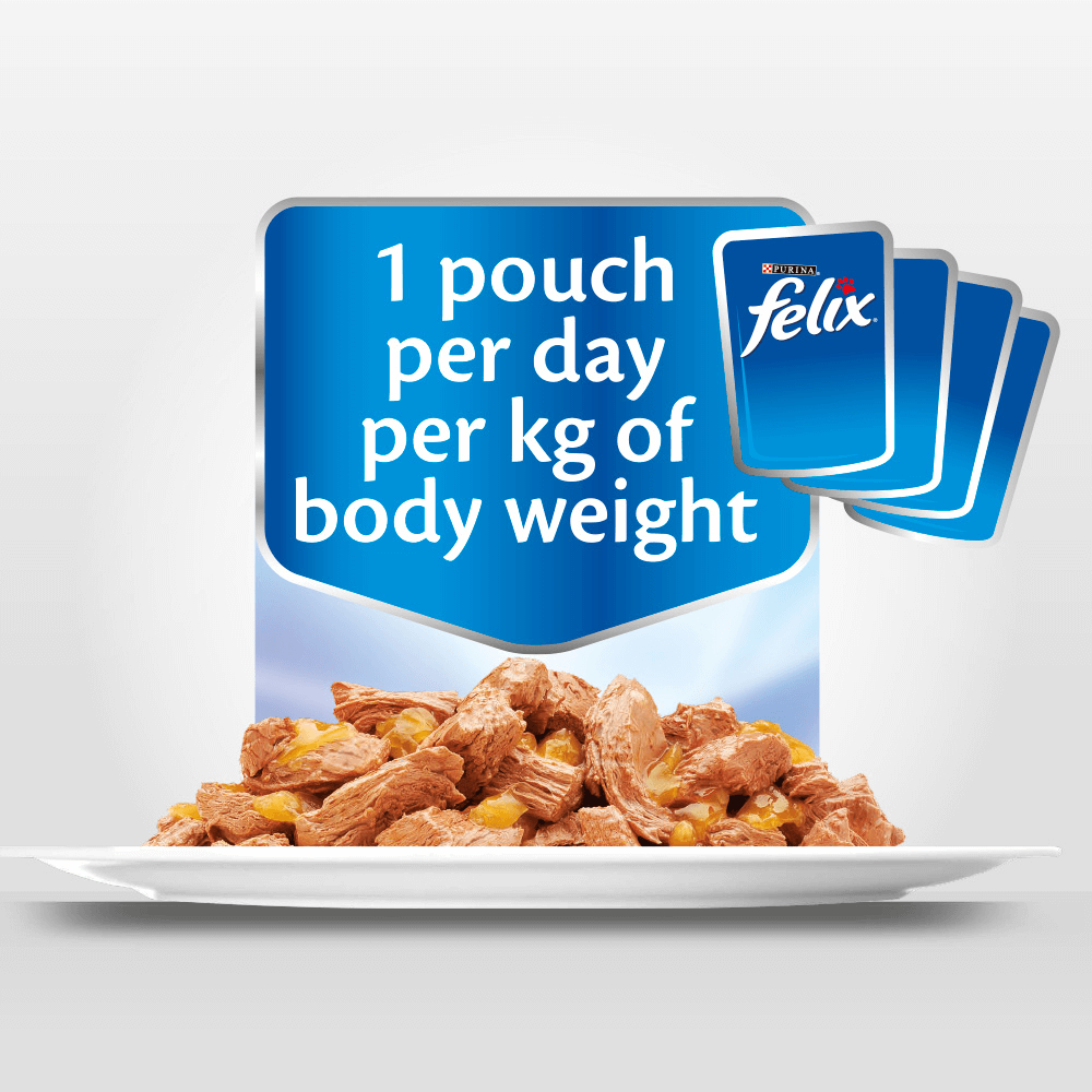 Wet Cat Food Adult Sensations Jellies Fishy Selection Pouches