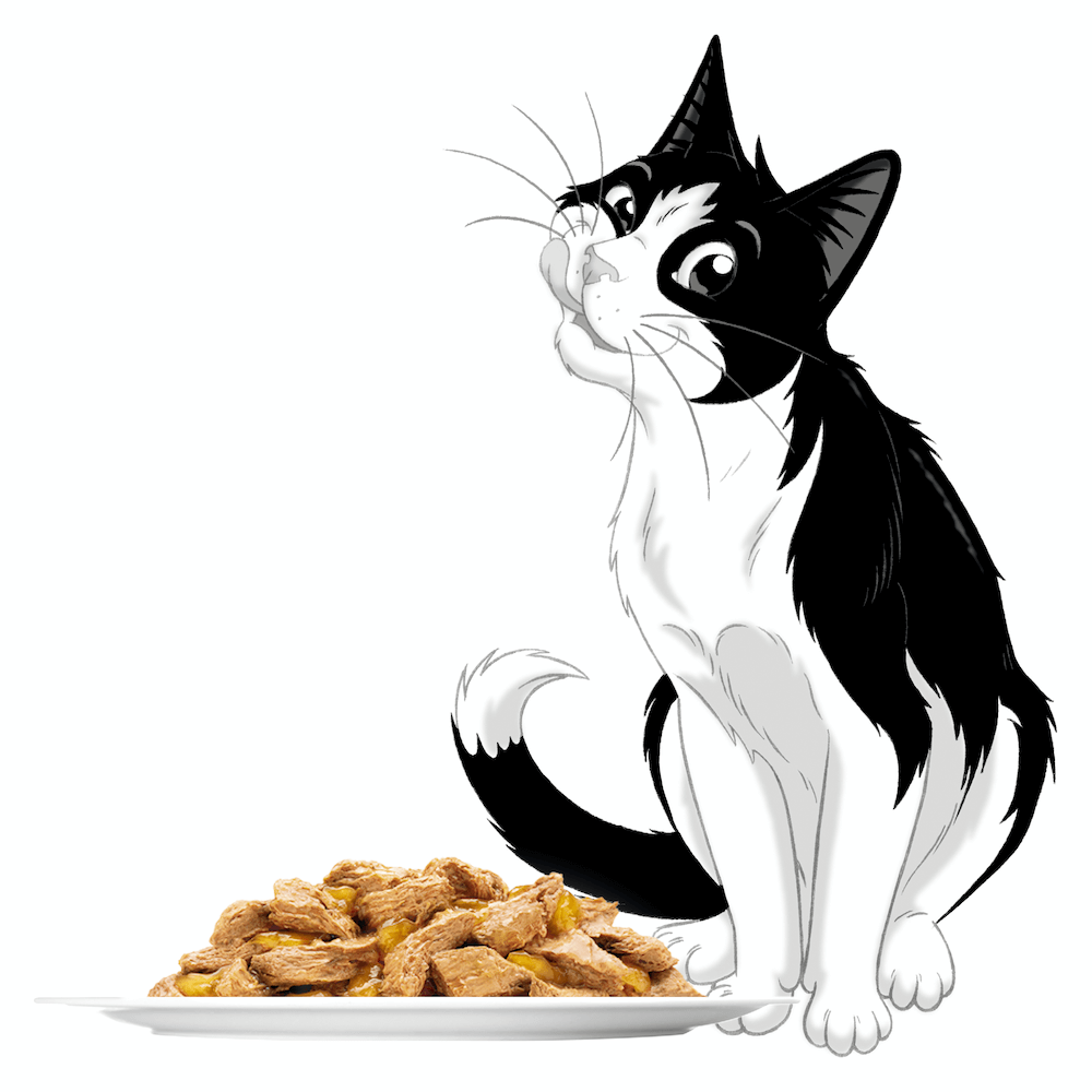 Wet Cat Food Adult Sensations Jellies Fishy Selection Pouches