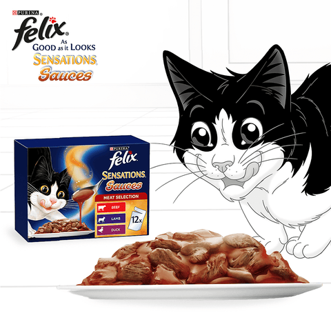Wet Cat Food Adult Sensations Sauces Meat Selection Pouches