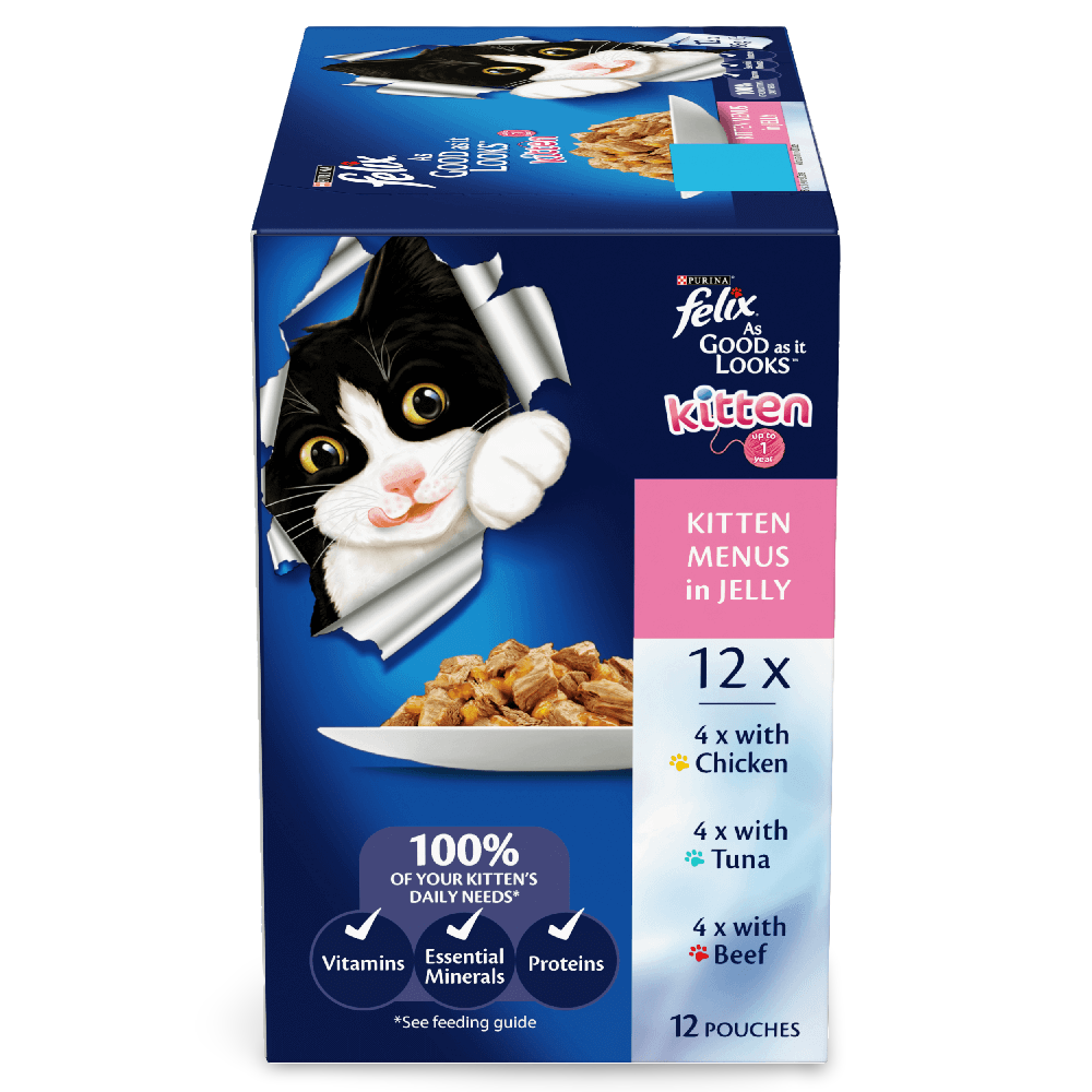 Wet Cat Food Kitten Menus In Jelly Pouches