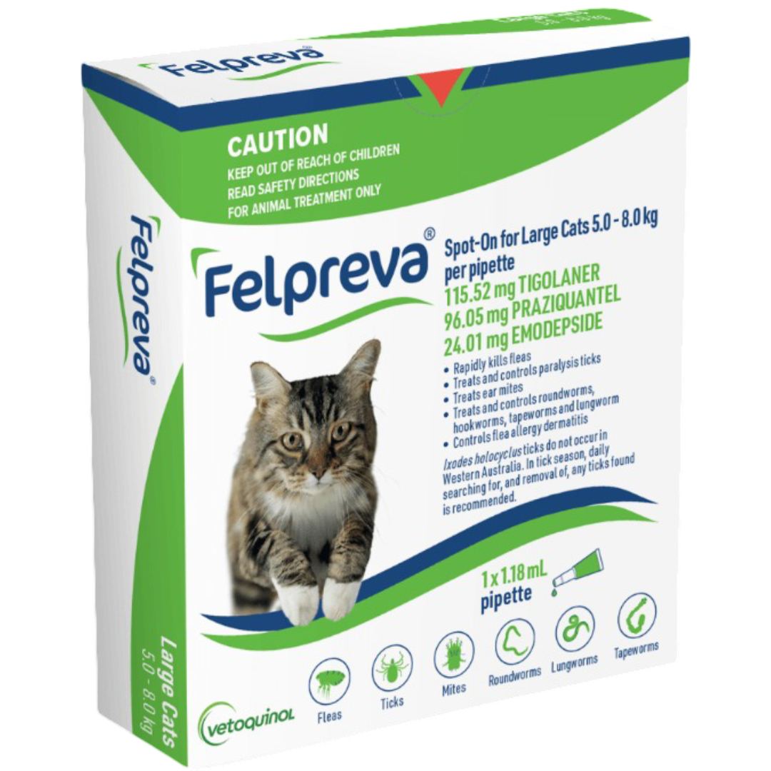 Spot On Solutions For Large Cats