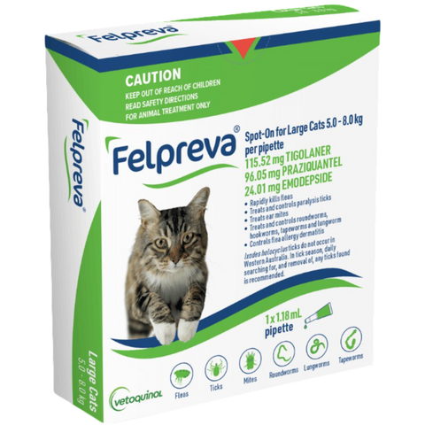 Spot On Solutions For Large Cats