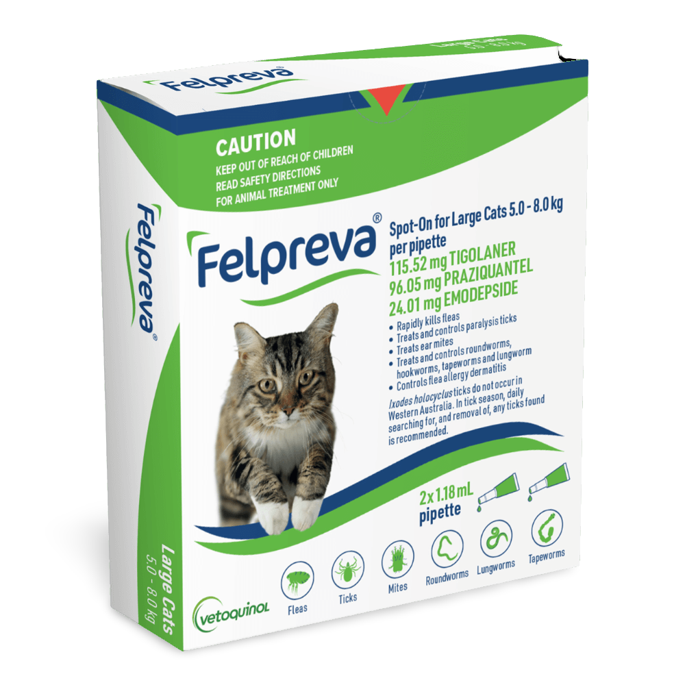 Spot On Solutions For Large Cats