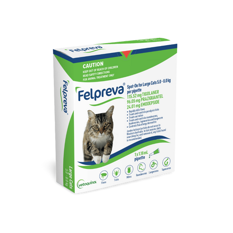 Spot On Solutions For Large Cats