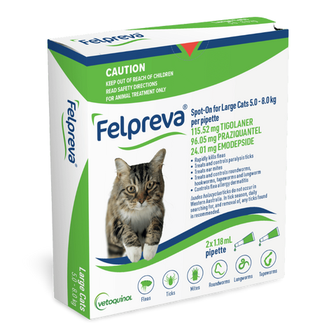 Spot On Solutions For Large Cats