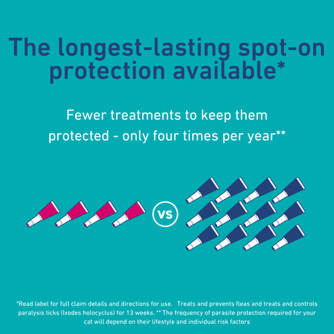 Spot On Solutions For Medium Cats