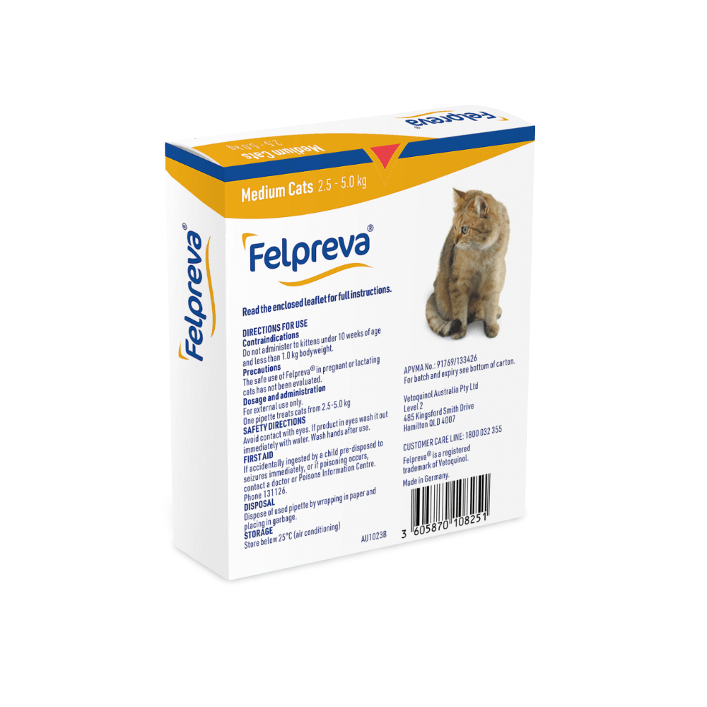 Spot On Solutions For Medium Cats