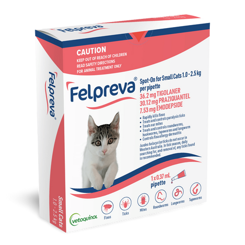 Spot On Solutions For Small Cats