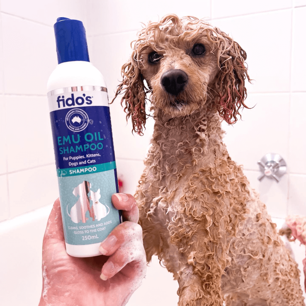 Emu Oil Gloss And Shine Shampoo For Dogs And Cats