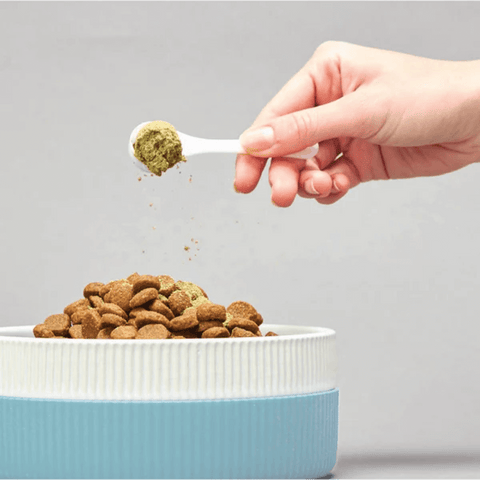 Anxiety Support Wholefood Powder For Dogs