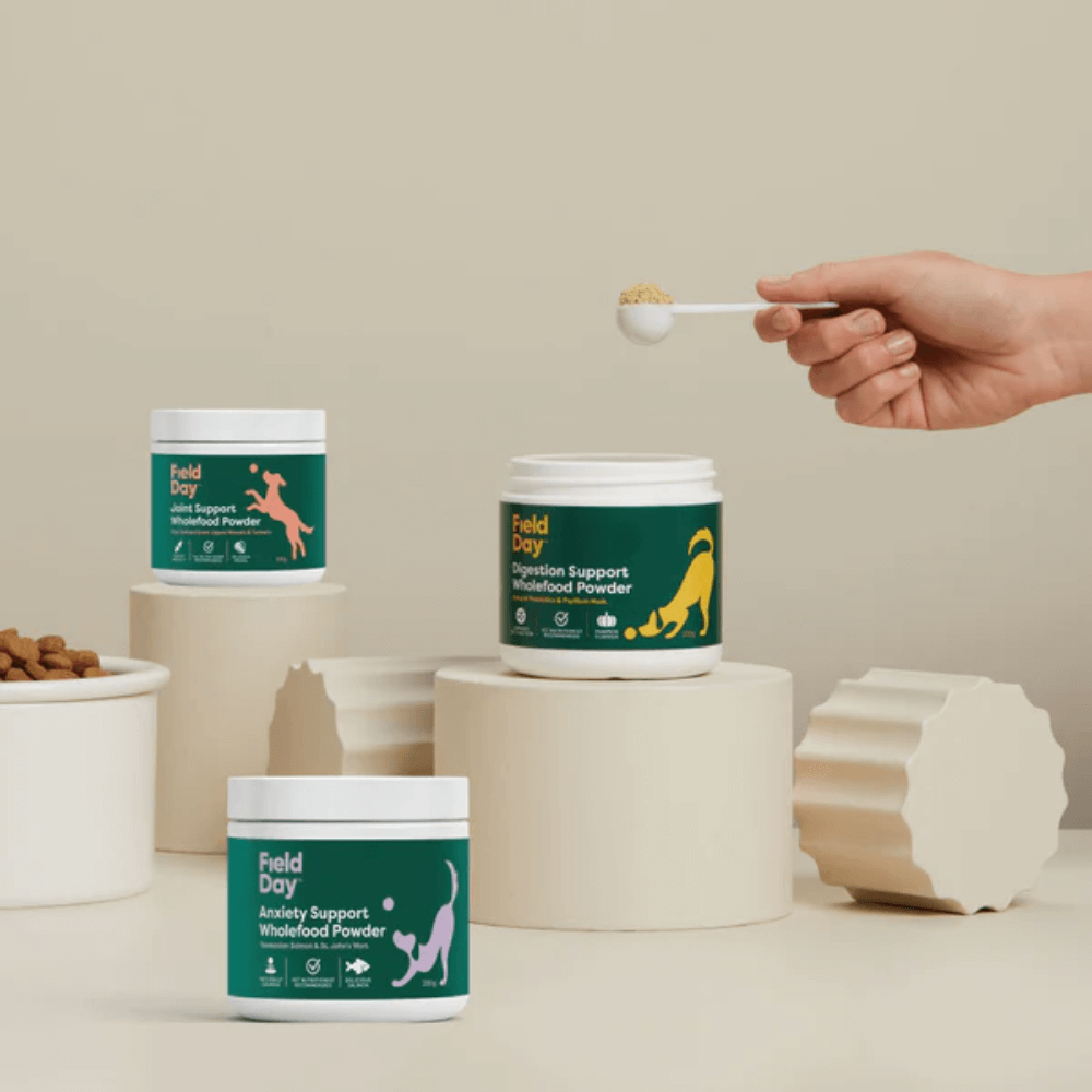 Anxiety Support Wholefood Powder For Dogs