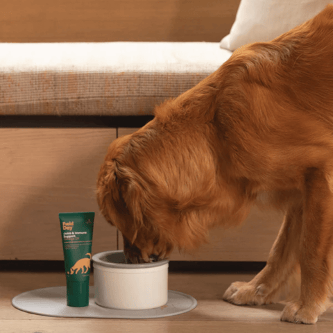 Joint And Immune Support Omega Oil For Dogs