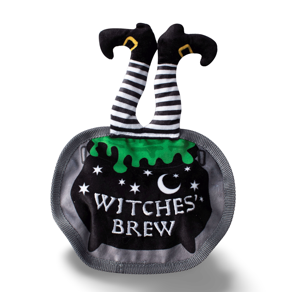 Drop In For A Spell Plush Dog Toy