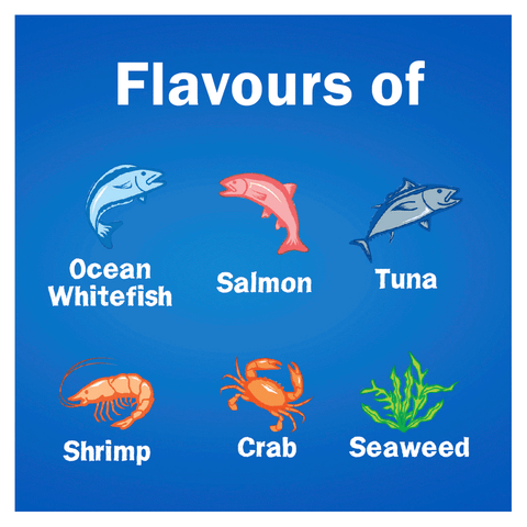 Dry Cat Food Adult Seafood Sensations