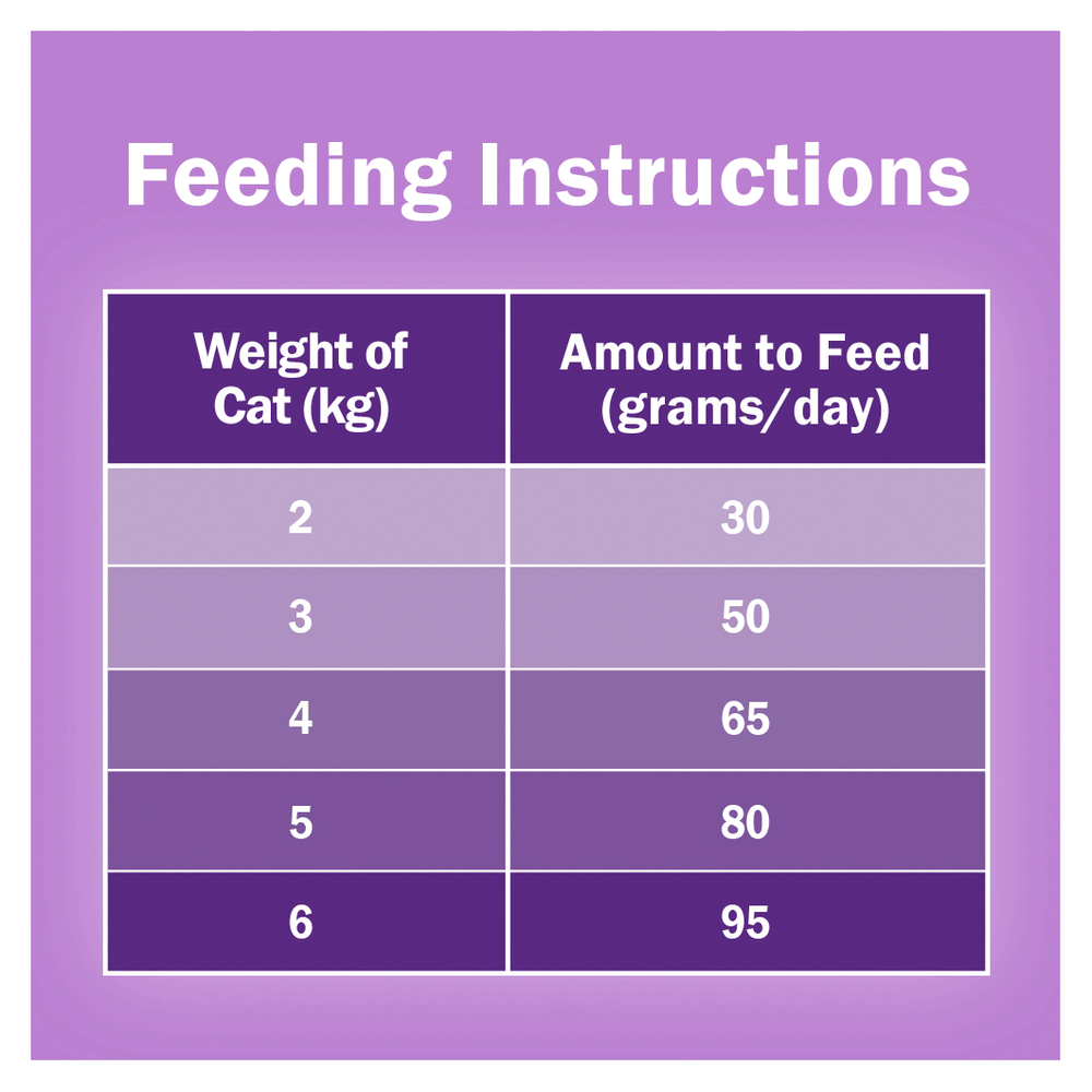 Dry Cat Food Adult Surfin Turfin Favourites