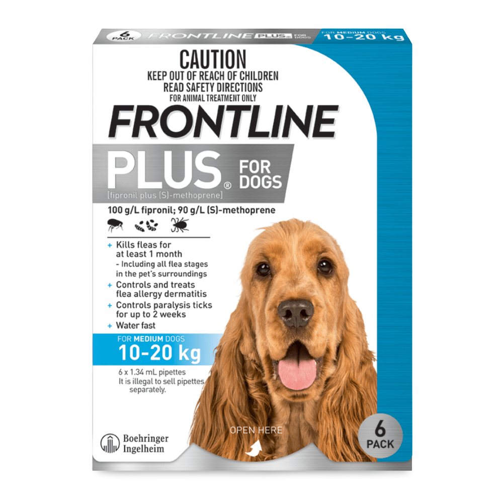 Plus Medium Dog Blue