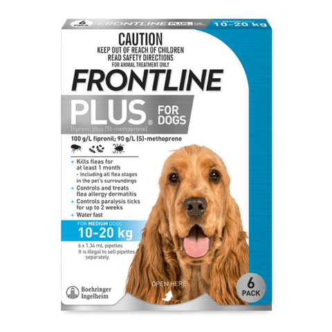 Plus Medium Dog Blue
