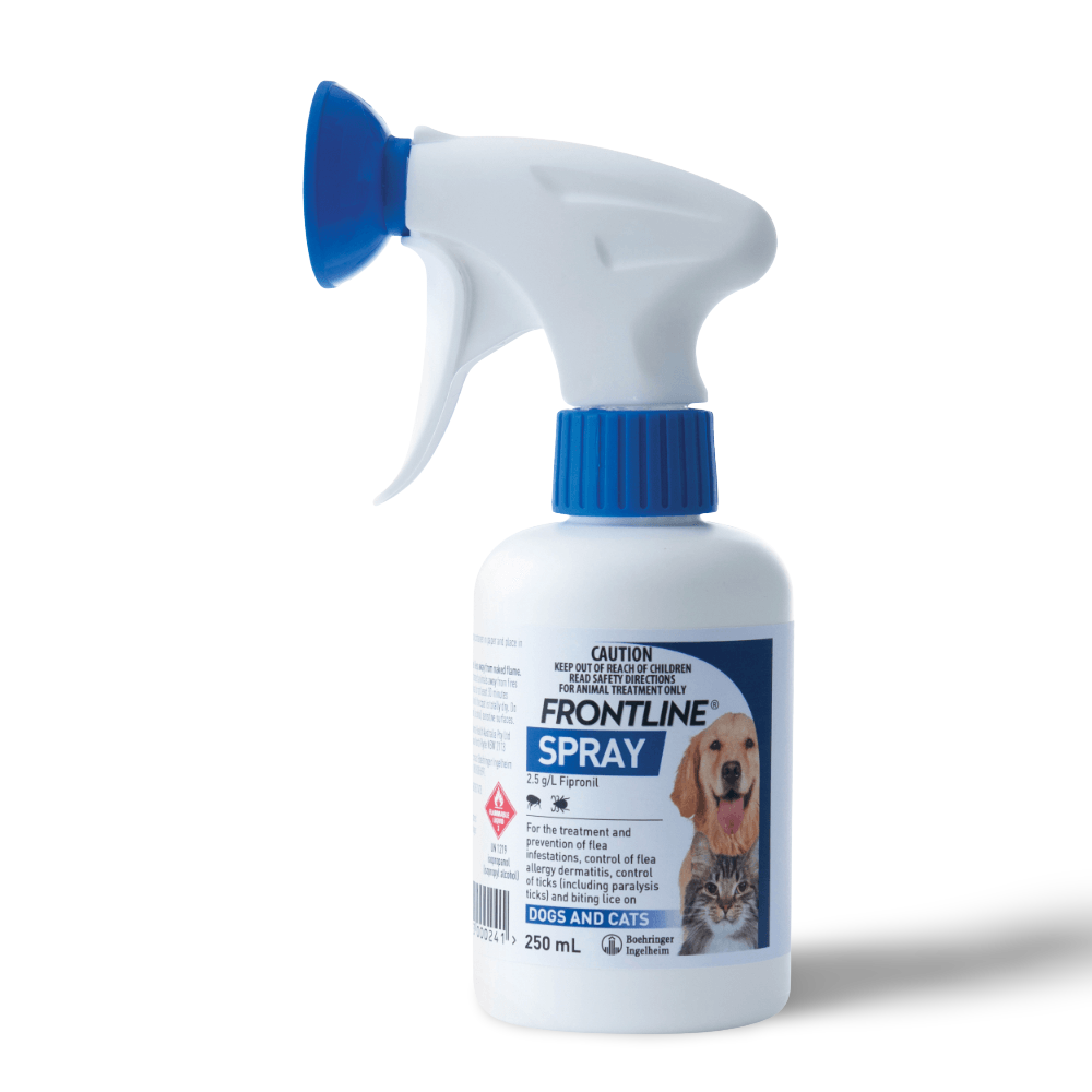 Flea Spray for Pets