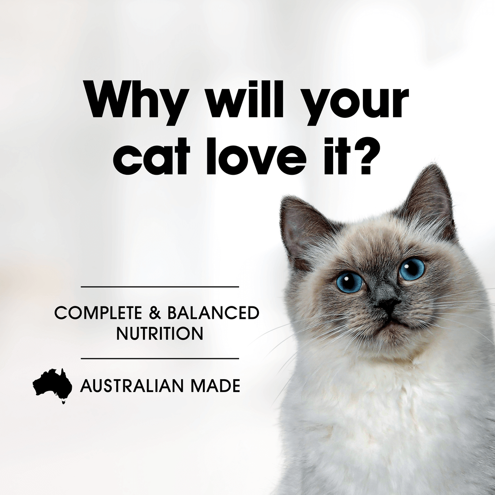 Grain Free Wet Food Adult Beef Casserole