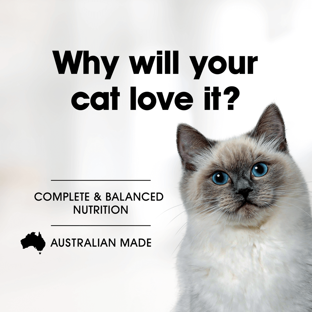 Grain Free Wet Food Adult Chicken And Turkey With Cranberry