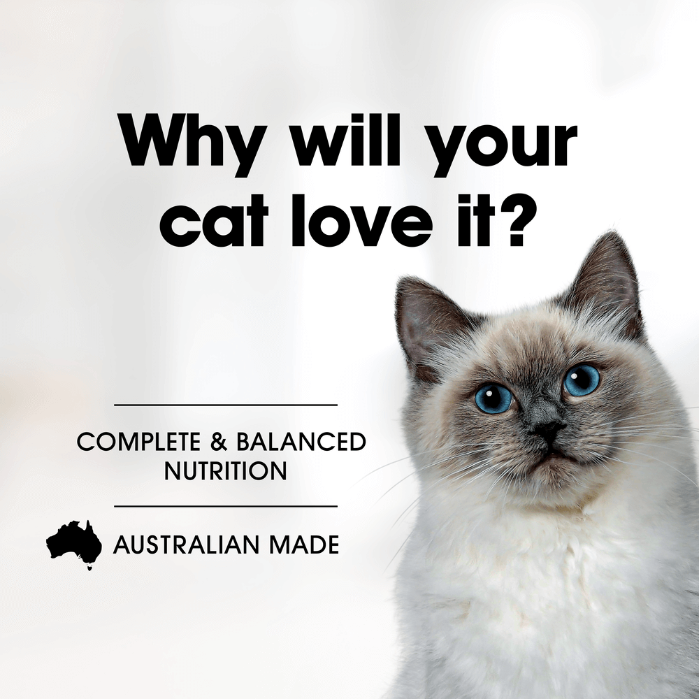 Grain Free Wet Food Adult Salmon And Whitefish With Olive Oil