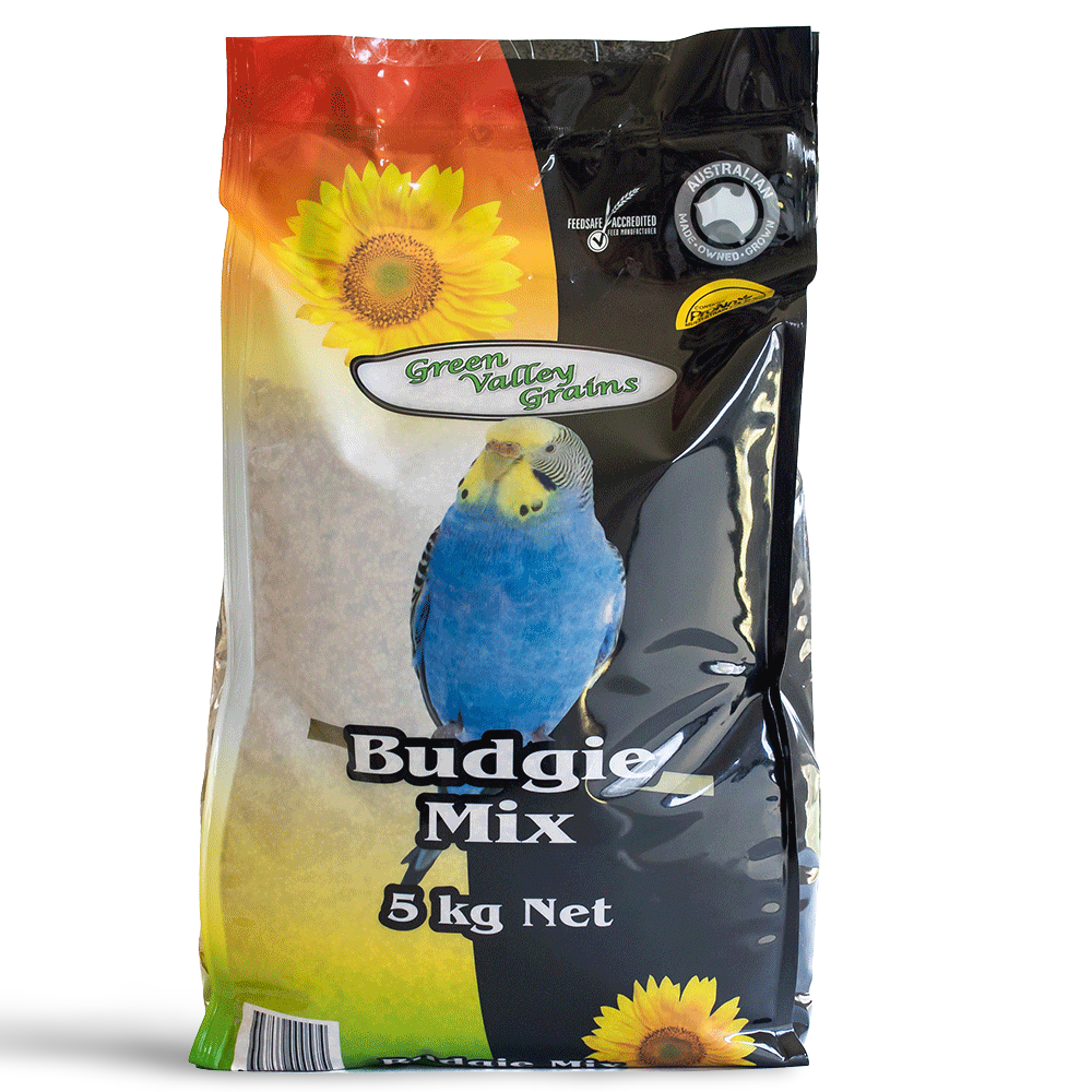 Green Valley Budgie